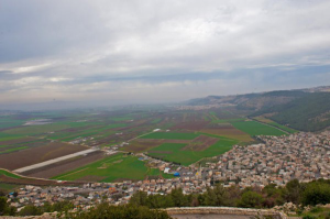  : favor2-600x399.jpg