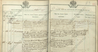  :    (  )  19.03.1882  8  19-126-208  75  _1.jpg