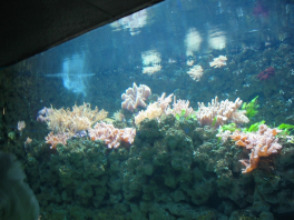 ������������� ����: IMG_0165.JPG