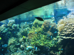 ������������� ����: IMG_0162.JPG