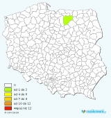  : ladewig_kompletny.png