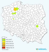 : ladwig_kompletny.png