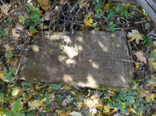DSC08118_.jpg, 259479 