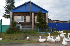  : DSC_0702.JPG