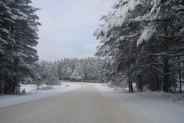 ������������� ����: �����-15-11-07-1.jpg