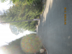  : IMG_4217.JPG