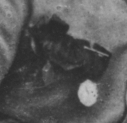 3.jpg, 116447 