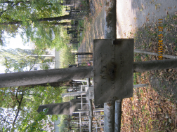 : IMG_4168.JPG