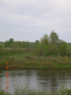 DSCN0243.JPG, 1317081 