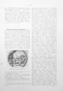  1 - 2.jpg, 949129 
