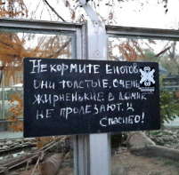  : peTztc3ghSc.jpg