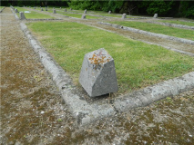  : 826095904e31.jpg