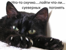  : .jpg