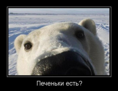  : 8abcc8.jpg