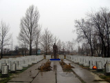  : 41015.jpg