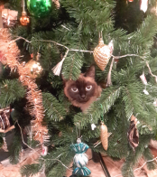 ������������� ����: 20160102_030910.jpg