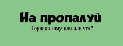 15.jpg, 24753 
