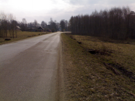  : 06042010352.jpg