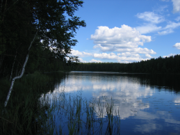  : IMG_3165.jpg