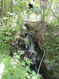DSCN0677.JPG, 111310 