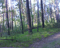  : image (2).jpg