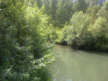  : image (18).jpg