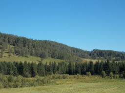  : DSCN2220.JPG