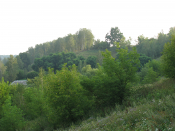 : IMG_0711.JPG