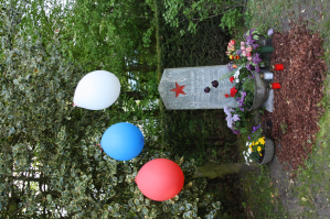  : IMG_6521.JPG