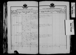  : 007766374_00811.jpg