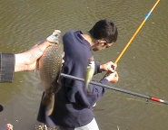 ������������� ����: 108.jpg