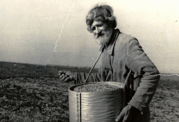 seyatel.jpg, 471429 