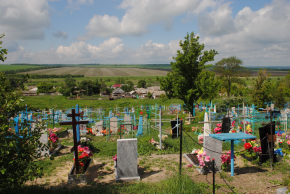  : DSC_5412.JPG