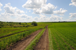  : DSC_8804.JPG