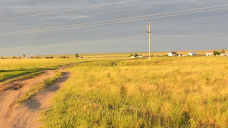 705161.jpg, 43917 