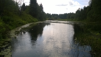 : WP_20160801_14_20_17_Pro.jpg
