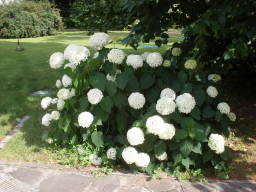  : SDC12063.JPG