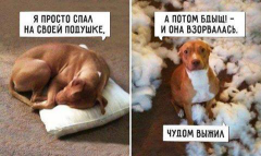  : -.jpg