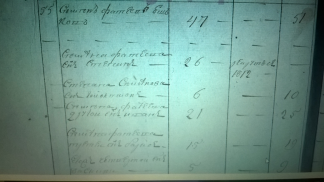 ������������� ����: WP_20160916_001.jpg