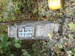  : DSC_0484.JPG