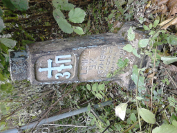  : DSC_0485.JPG