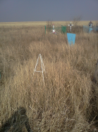  : IMG247.jpg