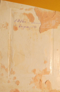 48975272 (12).jpg, 168176 