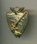  : petlichnye_emblemy_rkka_brone_tankovye_vojska_zolochenye_1922_24_g_redkie.jpg
