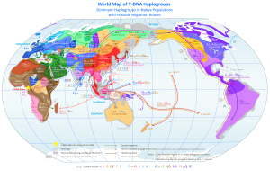 World_Map_of_Y-DNA_Haplogroups.png, 509489 