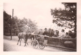  : Polen Mstow Flüchtlinge & Juden Pferdewagen 1939.jpg