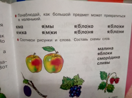  : P61206-182248.jpg