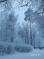  : DSCN0600_2017.jpg