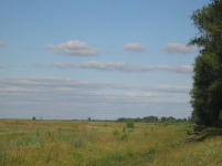 .    . 2006.jpg, 42354 
