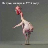  : IMG_4766.JPG